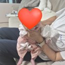 덕천이모네식품(주) | 안산 정부지원 산후도우미 참사랑어머니회 내돈내산 이용후기