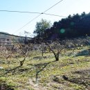 (주)배나무골 이미지