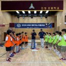 한국티볼연맹 OSEN