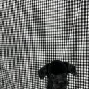 동글동글 애견미용실 이미지