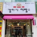 강아지 이발소 이미지