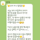 행복한유치원 | 파주애견유치원/개좋아 유치원/찐후기❣️/데일리알림장🖊
