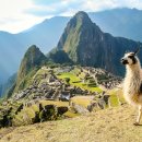 MACHU PICCHU Daum카페