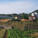 조아건축사사무소 - 속초시 동해대로 3998 | 조아건축사사무소