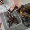 항도서림
