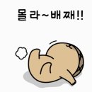 오늘 제 삶의 짐들을 많이 정리했습니다. 이미지