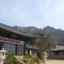 관룡사 앞 Daum카페