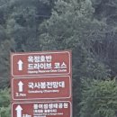 임실영어체험학습센터 | 코스모스/임실/붕어섬생태공원