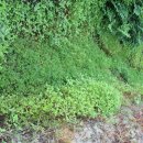 비룡농장 이미지