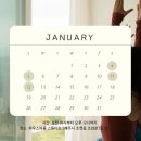 하우스 아움 이미지