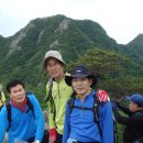 계룡산 Daum카페