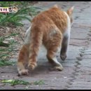 김문자농장 티스토리