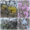 골짜기농장 이미지