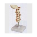 (주)진산메디칼 이미지