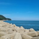 지세포해안로 이미지