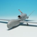 RQ-4B Global Hawk [1/48 SkunkModels Workshop made in china] 이미지