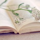 행복 빛으로부터 이미지