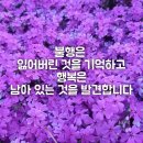 동고동락 이미지