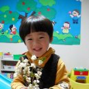 팝콘나무미술