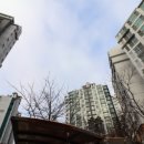 수원-1509 이미지