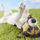 프로농장 이미지