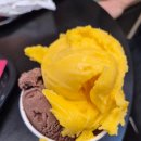 기차와 바다 호스텔 | 📍리스본 신트라 가기 전 꼭 확인해야 할 것, 카스카이스 바다 하루코스 후기 &amp; 꿀팁 정리