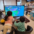 11650-16-111-2 | 인천 송도 아이와 가볼만한곳 트리플스트리트 캘리클럽, 벌툰 후기