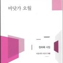 바닷가 오월 - 정하해 시집 / 서정시학 이미지