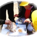 송암초등학교 이미지