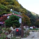 자작나무길펜션 이미지