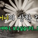 어머니김밥 이미지