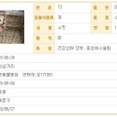 신영동물병원