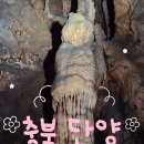 단양군장애인단체연합회 | 충북 단양 여행) 당일치기 삽가능 / 단양 가족 여행 / 고수동굴 /충주호크루즈