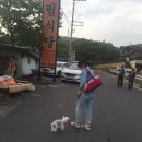 동림자동차 이미지