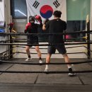 슈퍼비 복싱짐 네이버블로그