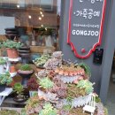 공주다육카페