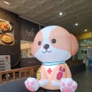 멍멍냐옹동물병원