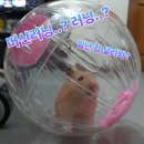 처음 배우는 머신러닝 이미지