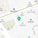 요미독 강아지분양 요미캣 고양이분양 목동점 이미지