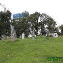 정유선생묘 이미지