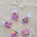 예소담유치원 이미지