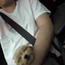 이지홈카트 | [레오나르디] 트레이더스 화이트발사믹 스틱포, 간편하고 고급스러운 홈카페 레시피 솔직 후기!