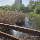 청사큰길 이미지