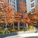 죠스이편한 이미지