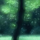 유목농장 이미지