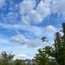 지축열린약국 | 지축역 역세권 대장, 북한산을 품에 안은 단지 - 지축역센트럴푸르지오 분석
