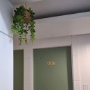 더스테이석남 이미지