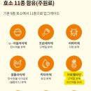 만능효소