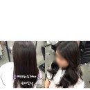 사림동288 이미지