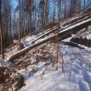 아라리펜션 이미지